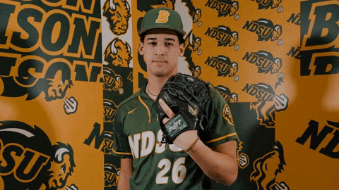 Baseball Bison GIF by NDSU Athletics