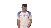 Slovakia Sticker by Slovensky futbalovy zvaz