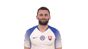 Slovakia Safo Sticker by Slovensky futbalovy zvaz