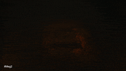 The Trench Shark GIF by Warner Bros. Pictures