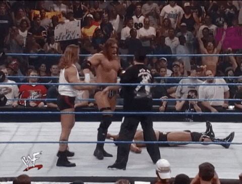 celebrate triple h GIF by WWE
