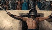 Here I Am Hello GIF by Spartacus