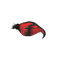 Jack White Screwdriver Sticker by The White Stripes