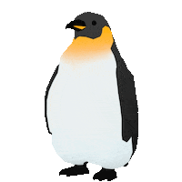 Penguin 企鵝 Sticker