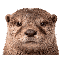 Nutria Sticker by ecoembes