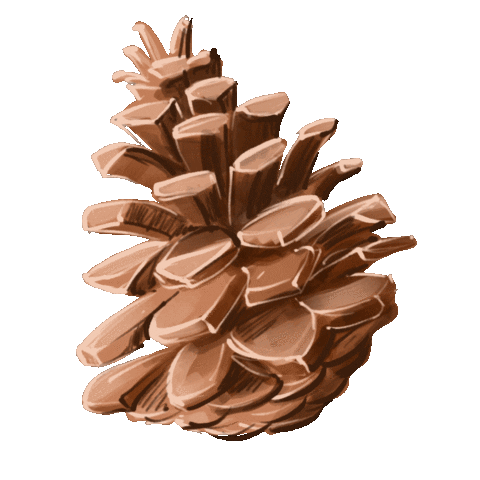 Christmas Winter Sticker