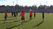 sun yoga GIF by FC Bayern Munich