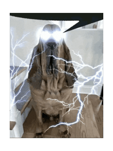 realbullshat dawg realbullshat Sticker