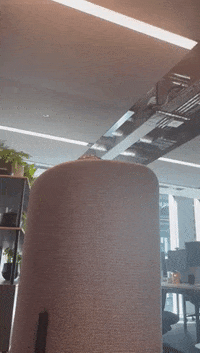 Peekaboo GIF by RelentlessRecords