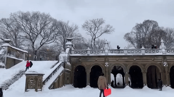 Sledder Flies Down Snowed-Over Steps of Central Park Landmark