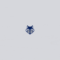 sfes sfes go wolves GIF