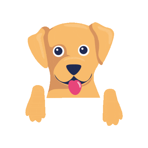 Petcare Sticker by Better Vet