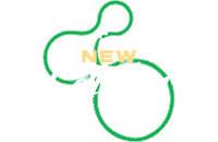 Sun Sunglasses Sticker by Ozon Optik