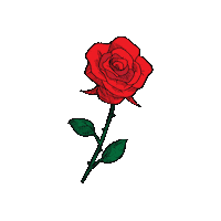 Taela Sticker by Artistnoize