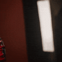 Timo Baumgartl GIF by St. Louis CITY SC