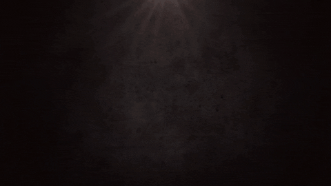 team valor GIF