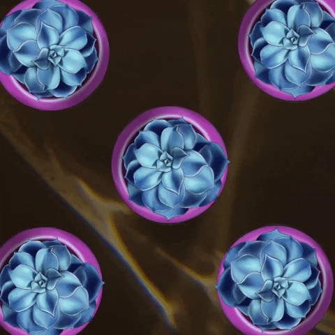 Animation Pattern GIF