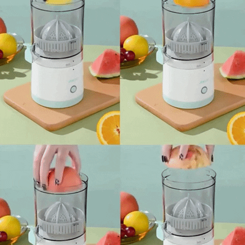 rociogn6 giphyupload GIF