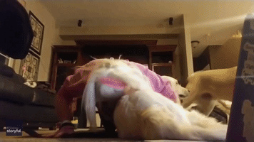 Service Dog Sweetly Interrupts Yoga Routine