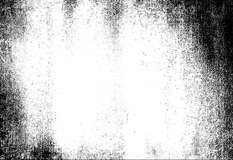 Skateboard Fishing GIF by Ghost Ship Supply