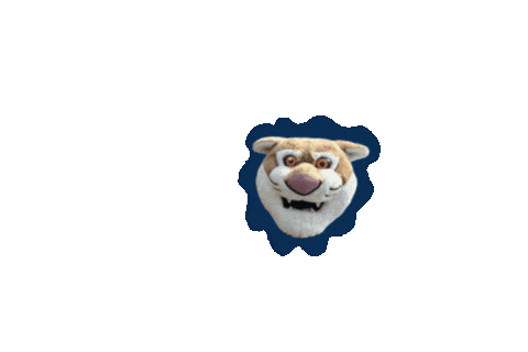 Mascot Spinning Sticker by Mount Vernon Nazarene University