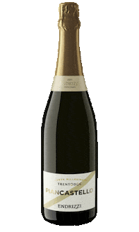 Italian Party Sticker by Endrizzi