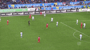 1 fc cologne football GIF by 1. FC Köln