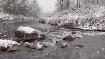 'Fifteen Seconds of Serenity': Snow Falls Across Portions of Ontario