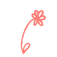 Summer Flower Sticker by aina2hand