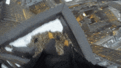 City View GIF by Red Bull