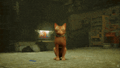 Neon City Cat GIF