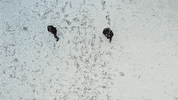 Martial Arts Winter GIF by Casol