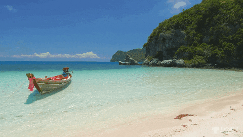 Landscape Wallpaper GIF