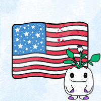 United States Usa GIF by Magic Eden