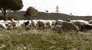 GIF by betevé