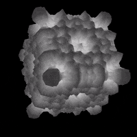 Art Morph GIF by Aleksey Efremov