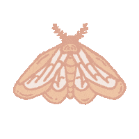 Pink Night Sticker