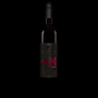 Party Cheers GIF by Weingut Schmidt