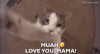 Happy Mothers Day GIF