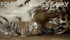 Mothers Day Moms GIF by reactionseditor