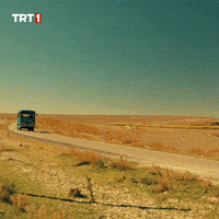 Driving GIF by TRT