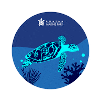 Sea Turtle Education Sticker by Roatan Marine Park