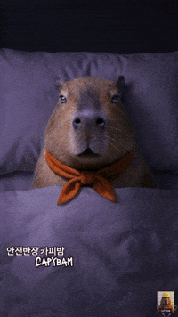 Bed Kicking GIF
