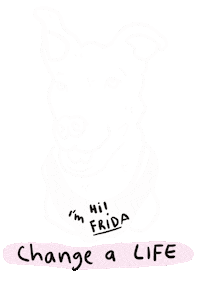 fridafoundation dog donation fridafoundation Sticker