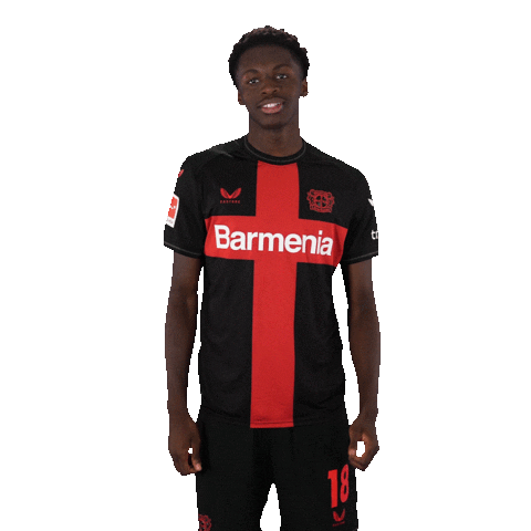 Bayer 04 Yes Sticker by Bayer 04 Leverkusen