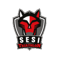 Triathlon Sticker by Sesi Esporte