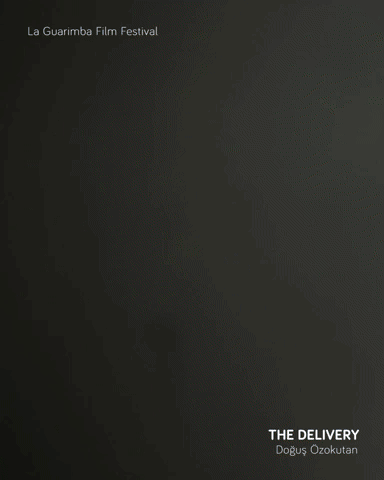 THE DELIVERY