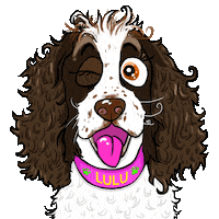 Dog Wink Sticker