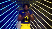 Go Blue Michigan Football GIF by Michigan Athletics