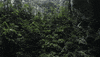 GIF by Digg